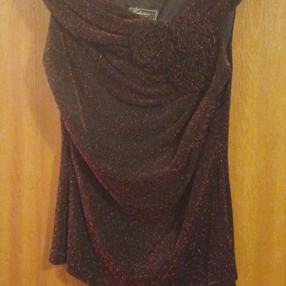 Dressy Top